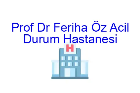 Prof Dr Feriha Öz Acil Durum Hastanesi