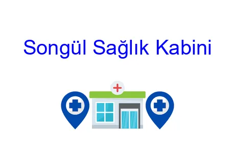 Songül Sağlık Kabini